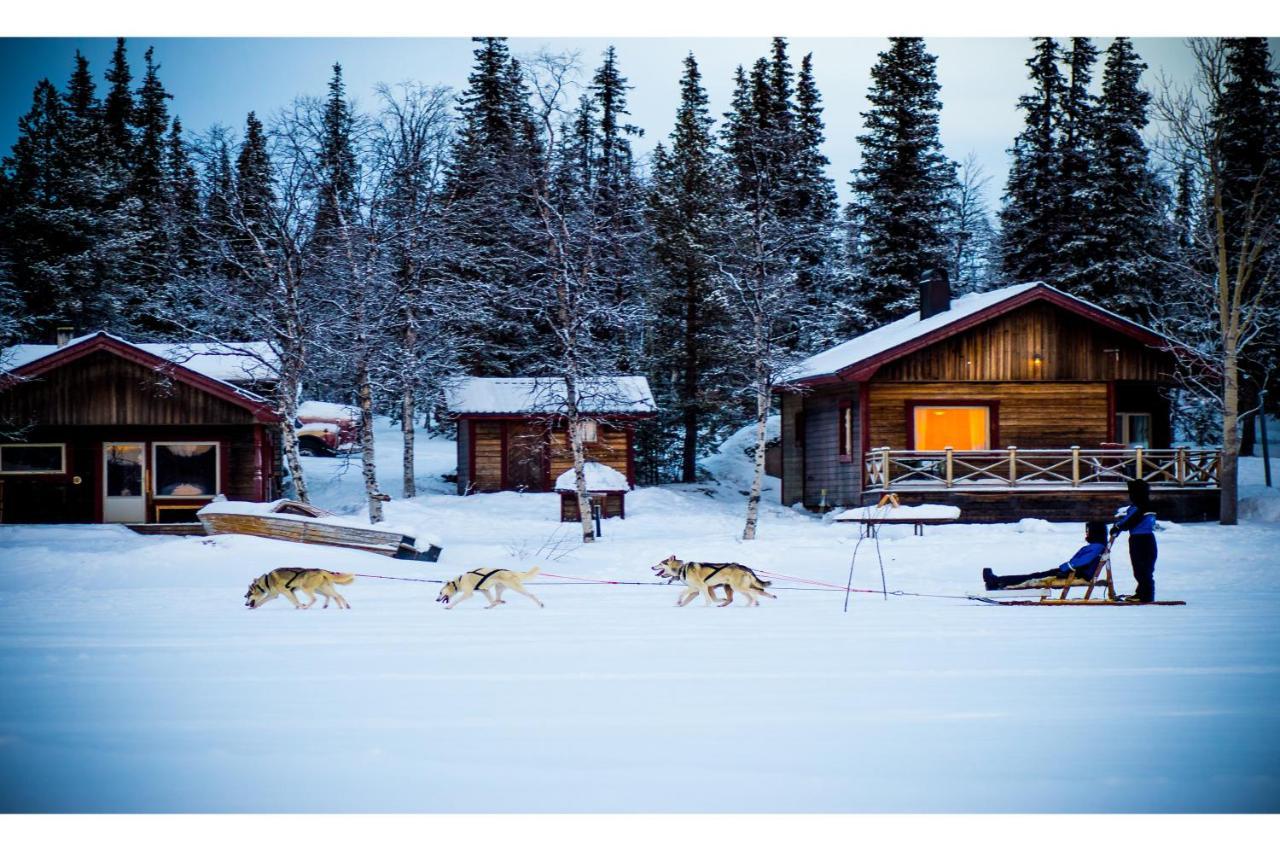 Camp Alta Kiruna Extérieur photo